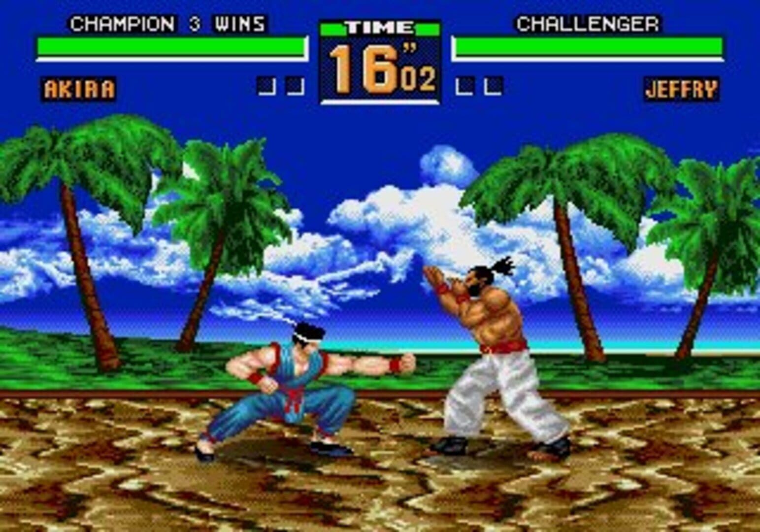 Virtua Fighter 2 screenshot 6