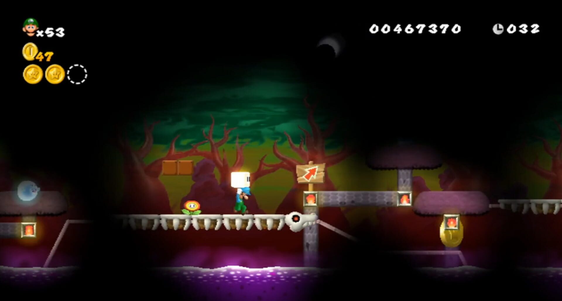 Ultimate Super Luigi Wii: Ultimate Green Team screenshot 2