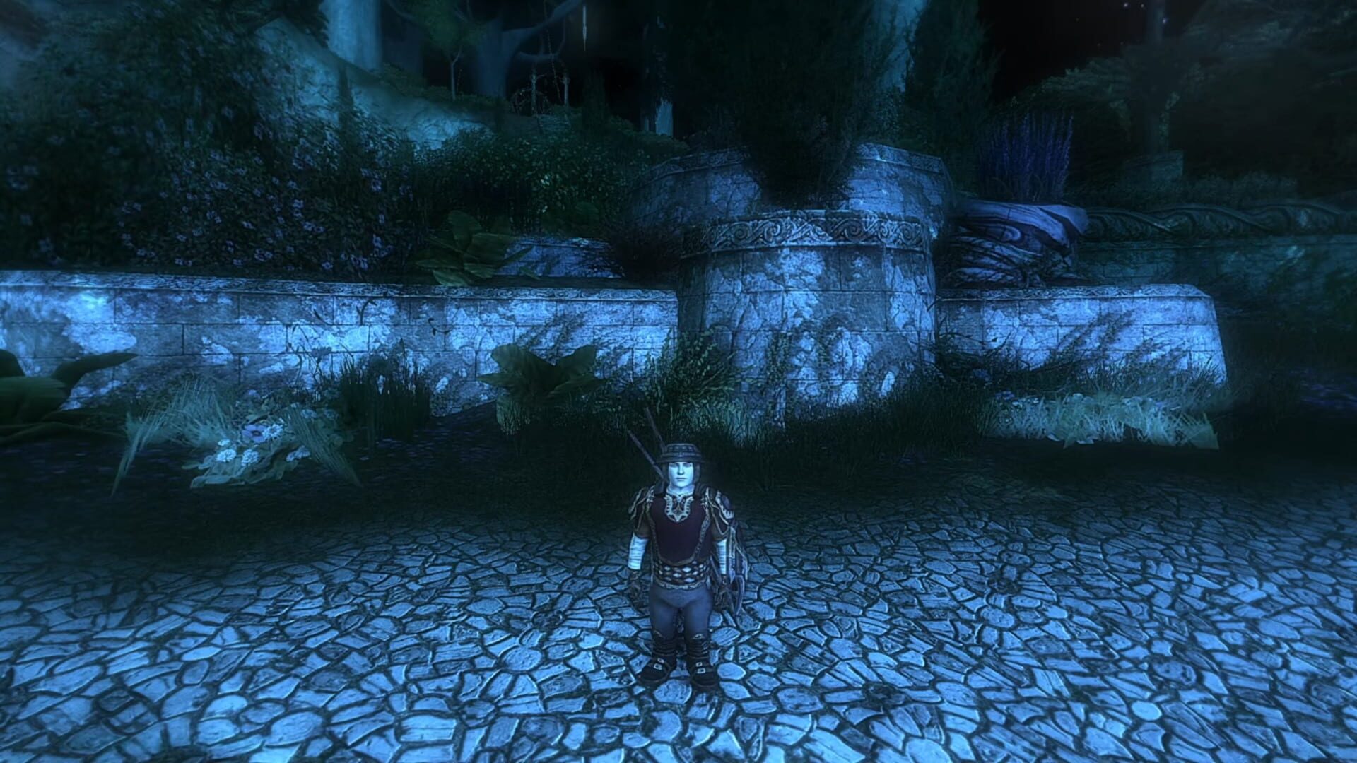 The Lord of the Rings Online: Mithril Edition screenshot 1