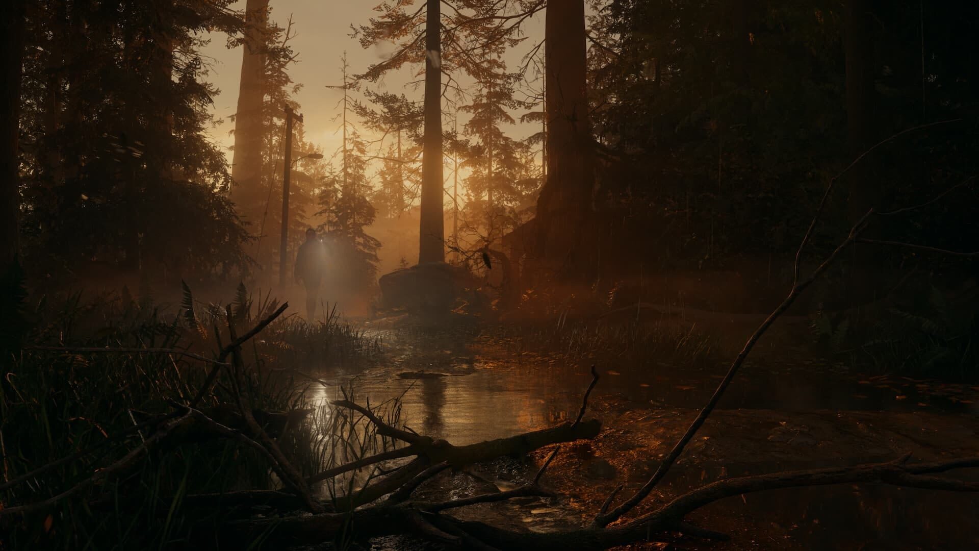 Alan Wake II screenshot 7