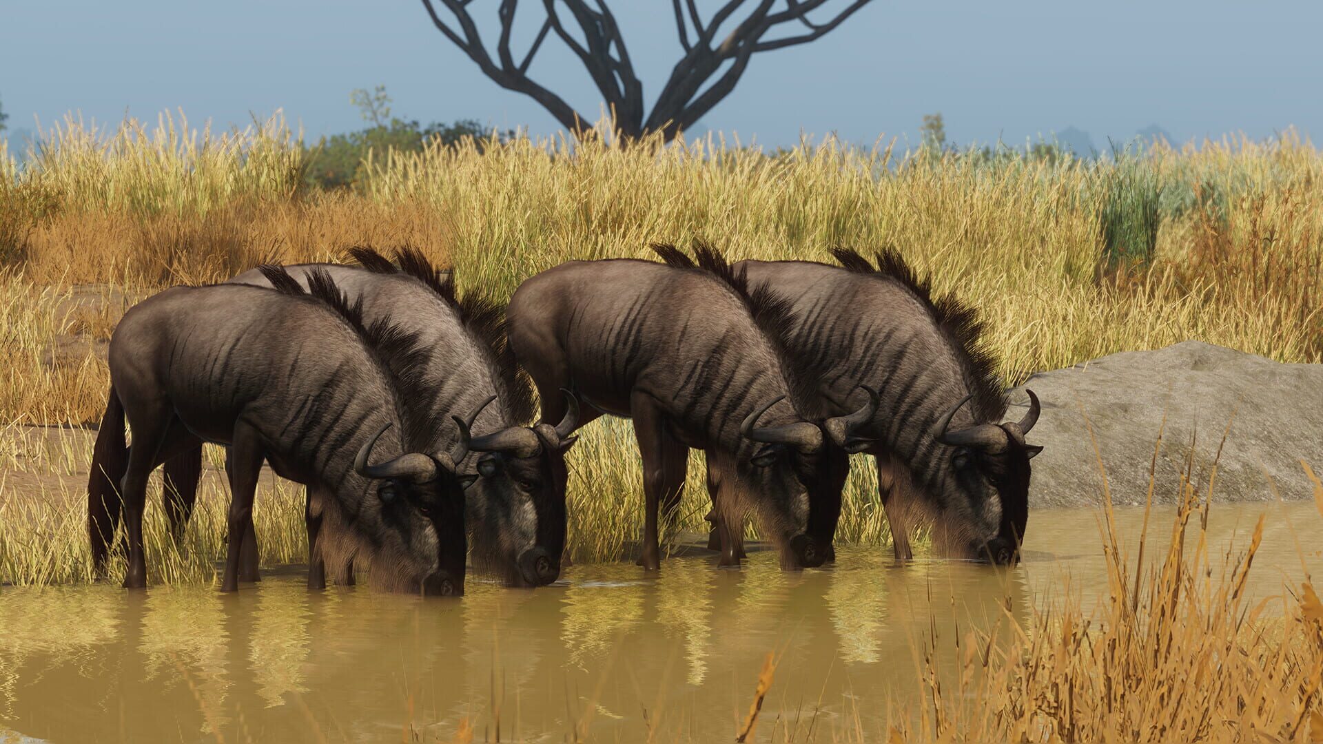 Planet Zoo: Grasslands Animal Pack screenshot 2