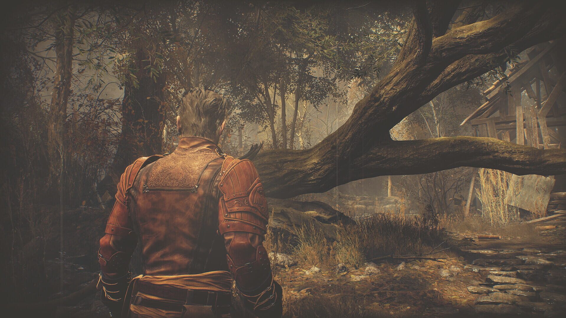 Resident Evil 4: Extra DLC Pack screenshot 6