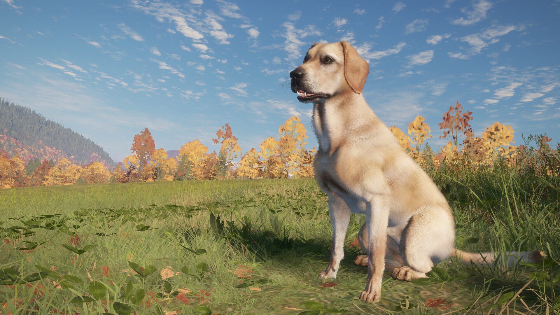 TheHunter: Call of the Wild - Labrador Retriever screenshot 1