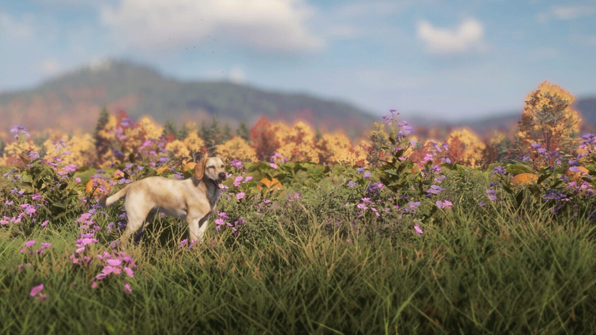 TheHunter: Call of the Wild - Labrador Retriever screenshot 6