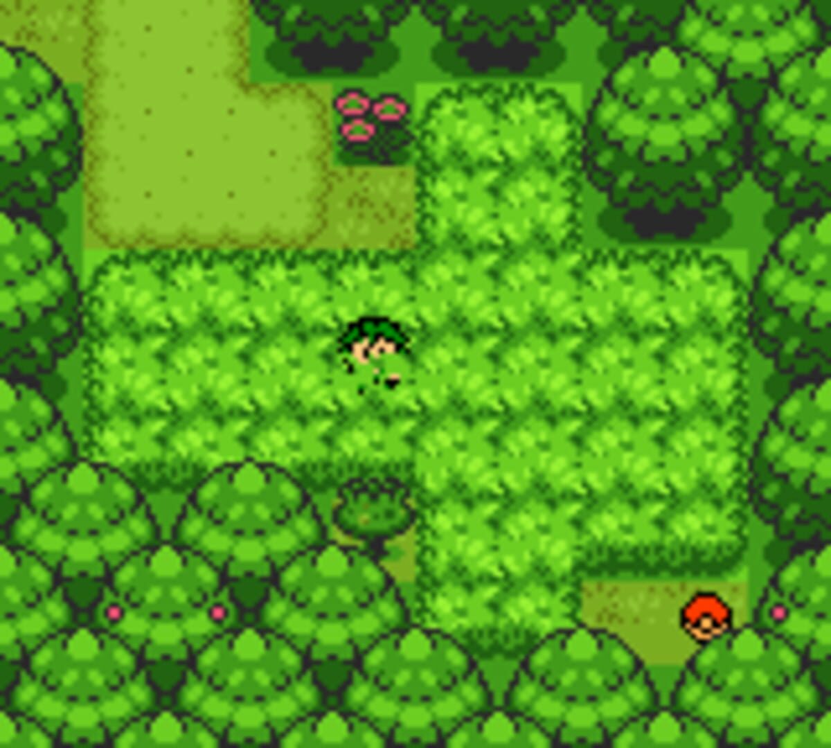 Pokémon Prism screenshot 2