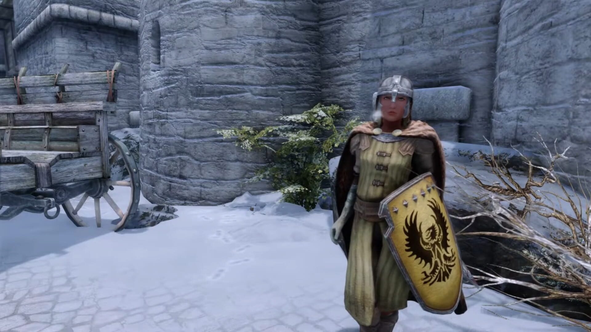 Beyond Skyrim screenshot 2