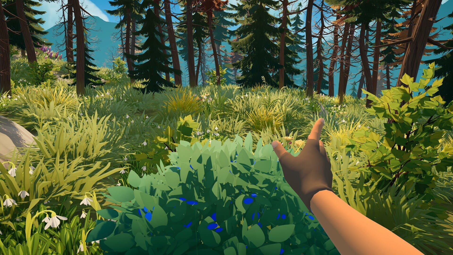 Outbound screenshot 8