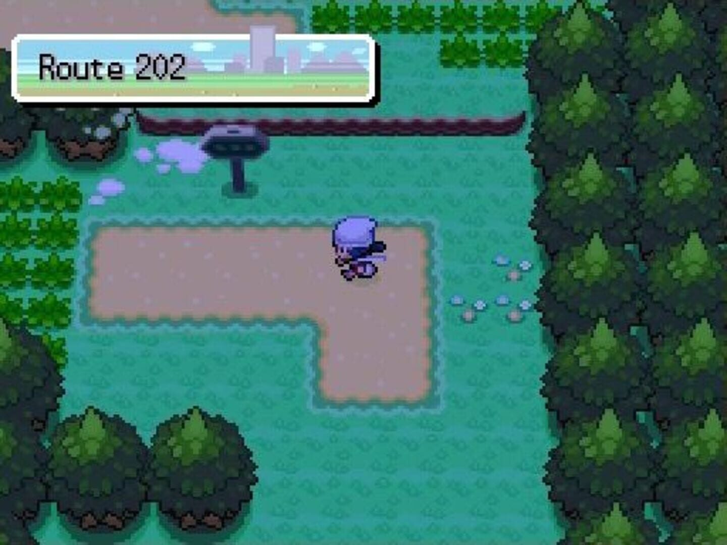 Pokémon Platinum Version screenshot 13
