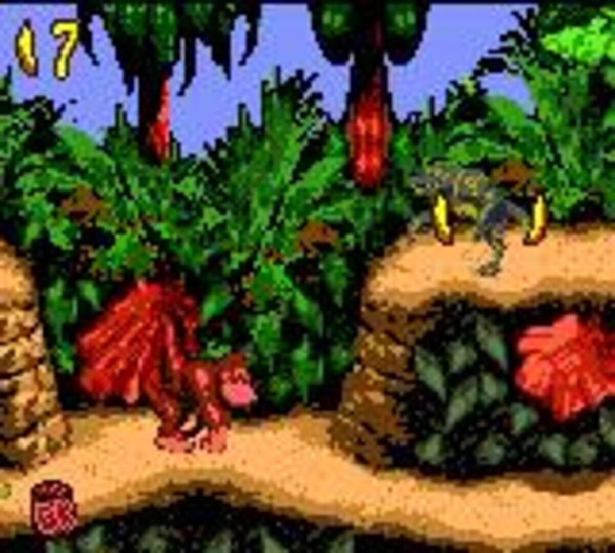 Donkey Kong Country screenshot 6
