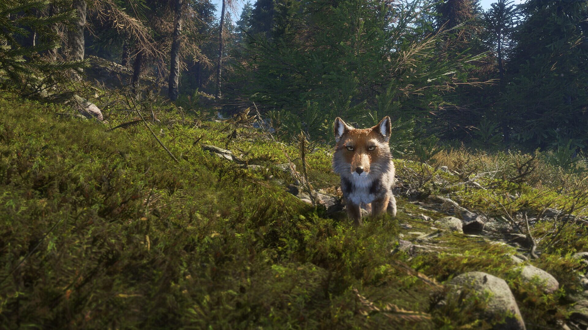 TheHunter: Call of the Wild - Sundarpatan Nepal Hunting Reserve screenshot 6