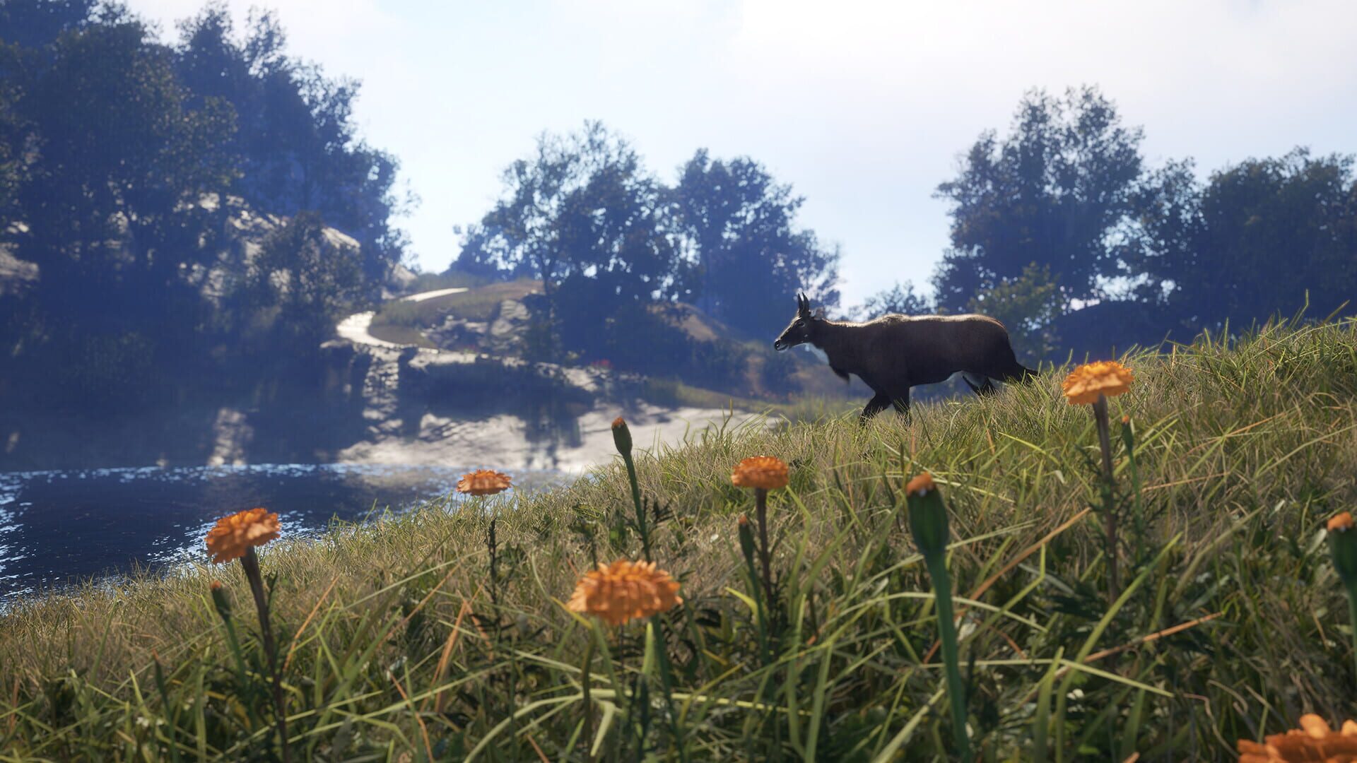 TheHunter: Call of the Wild - Sundarpatan Nepal Hunting Reserve screenshot 8