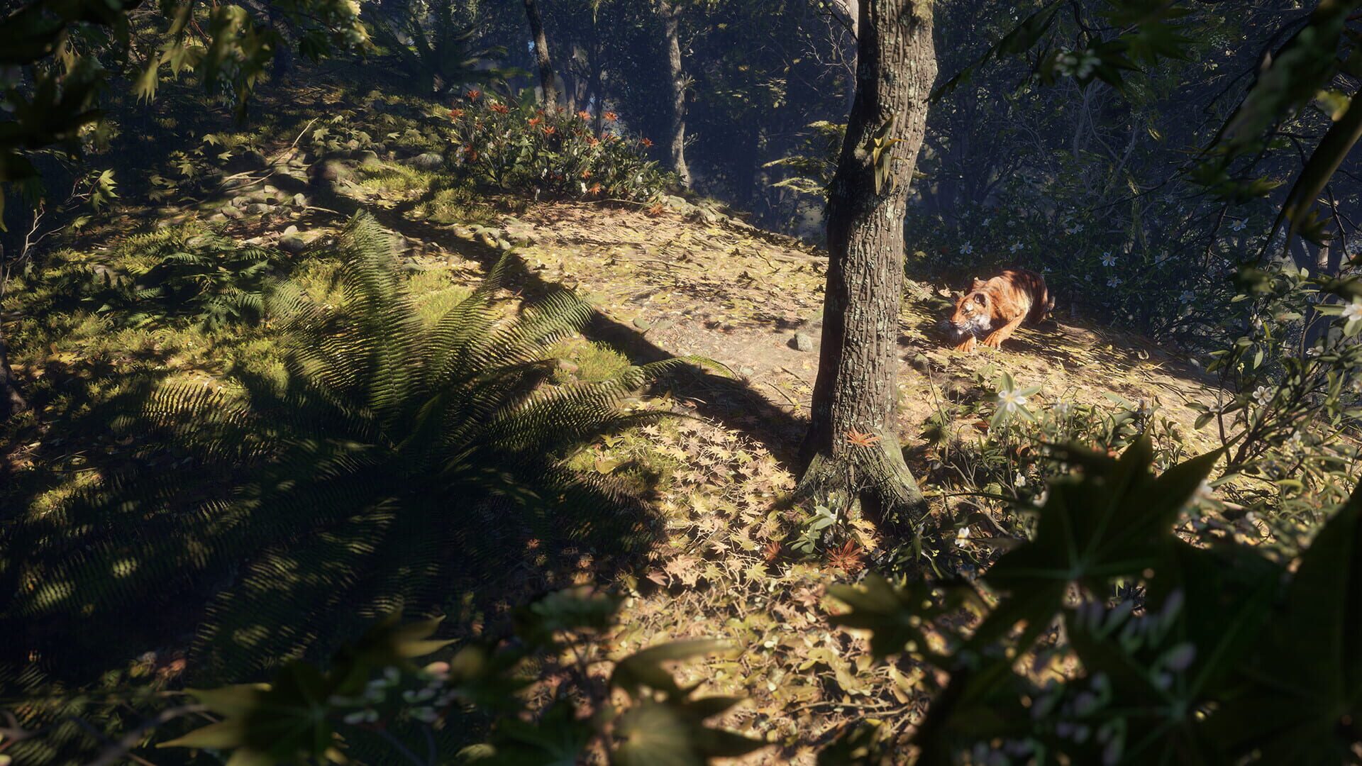 TheHunter: Call of the Wild - Sundarpatan Nepal Hunting Reserve screenshot 9