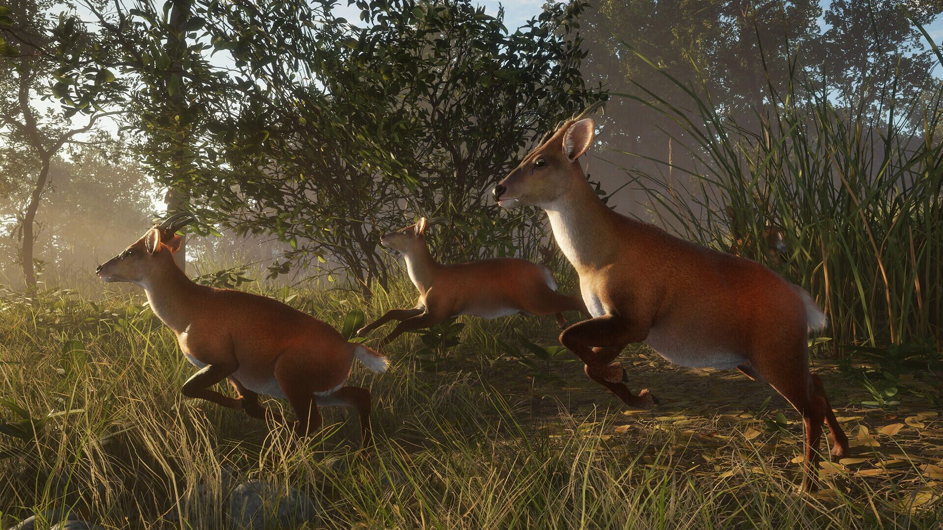 TheHunter: Call of the Wild - Sundarpatan Nepal Hunting Reserve screenshot 10
