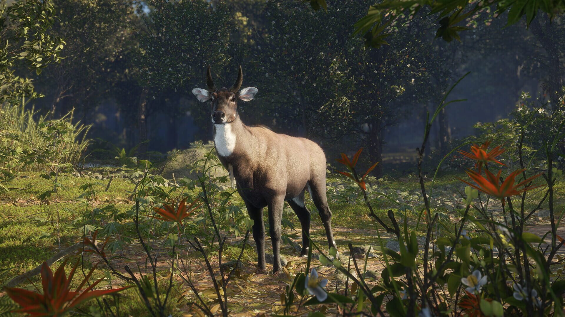TheHunter: Call of the Wild - Sundarpatan Nepal Hunting Reserve screenshot 12