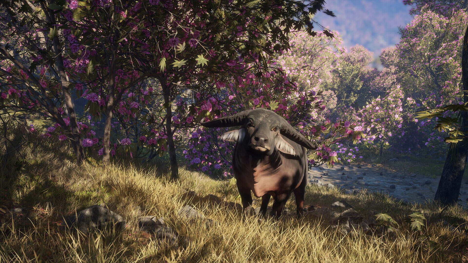 TheHunter: Call of the Wild - Sundarpatan Nepal Hunting Reserve screenshot 14