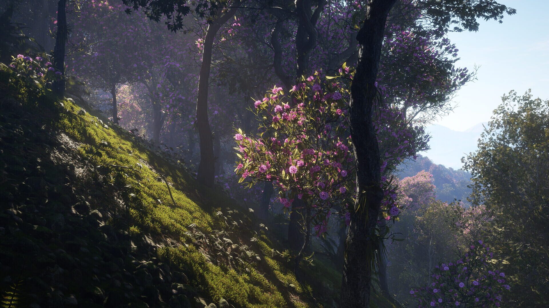 TheHunter: Call of the Wild - Sundarpatan Nepal Hunting Reserve screenshot 16