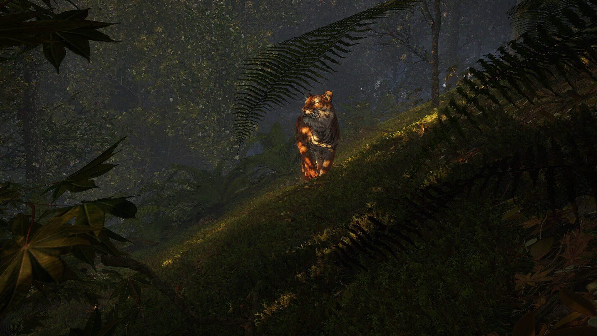 TheHunter: Call of the Wild - Sundarpatan Nepal Hunting Reserve screenshot 17