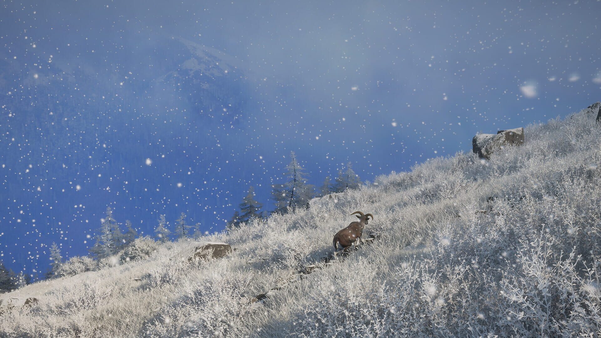 TheHunter: Call of the Wild - Sundarpatan Nepal Hunting Reserve screenshot 20