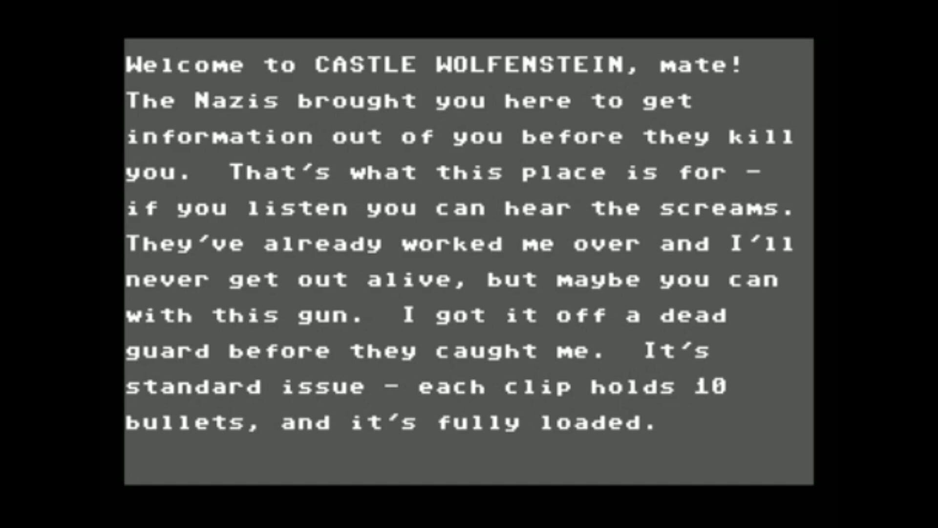 Beyond Castle Wolfenstein screenshot 2