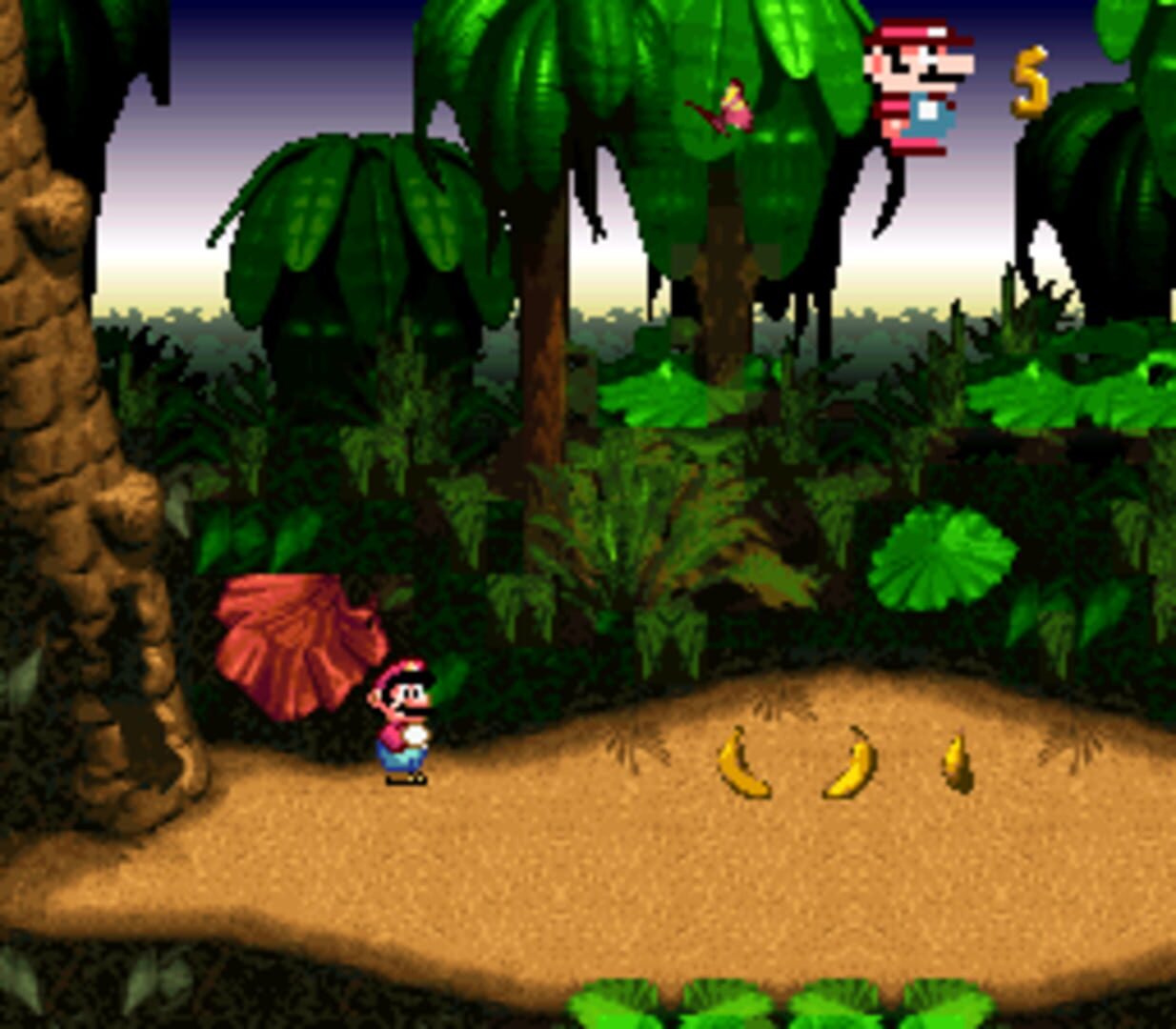 DKC X Mario screenshot 3
