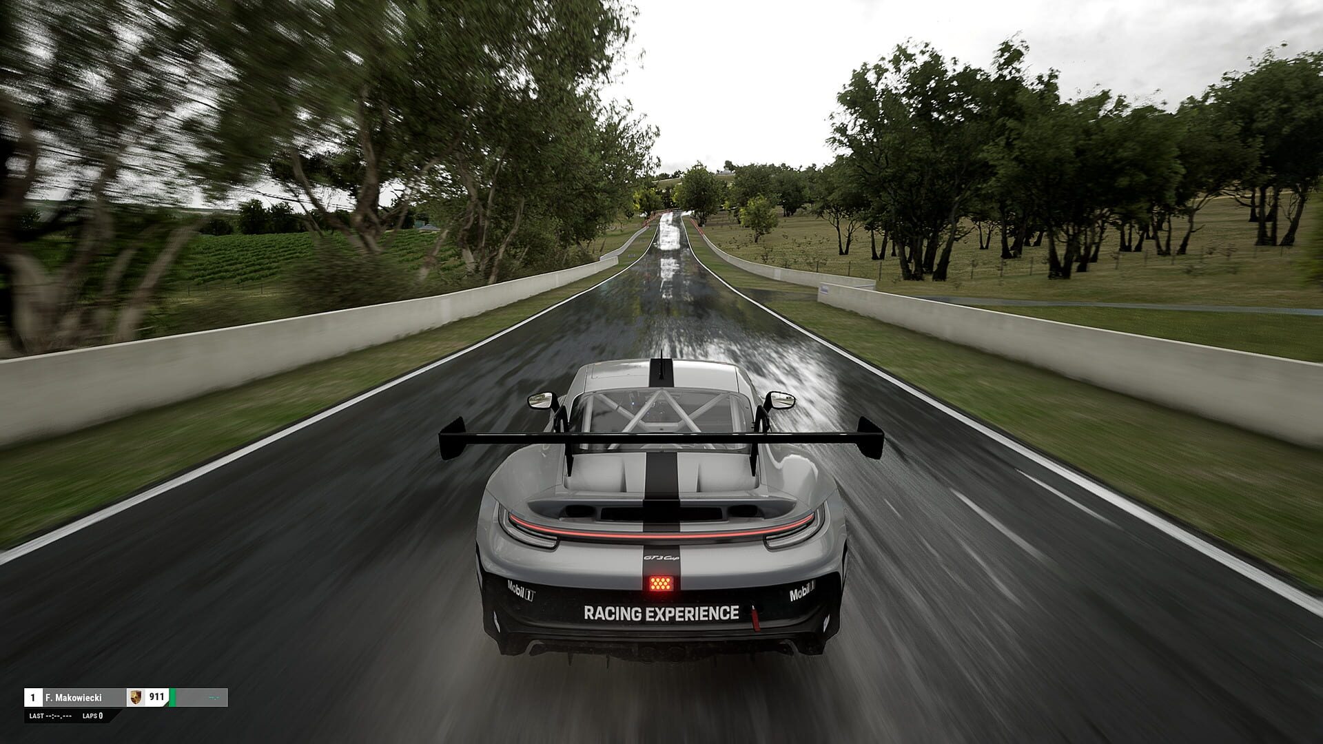Assetto Corsa Competizione screenshot 9