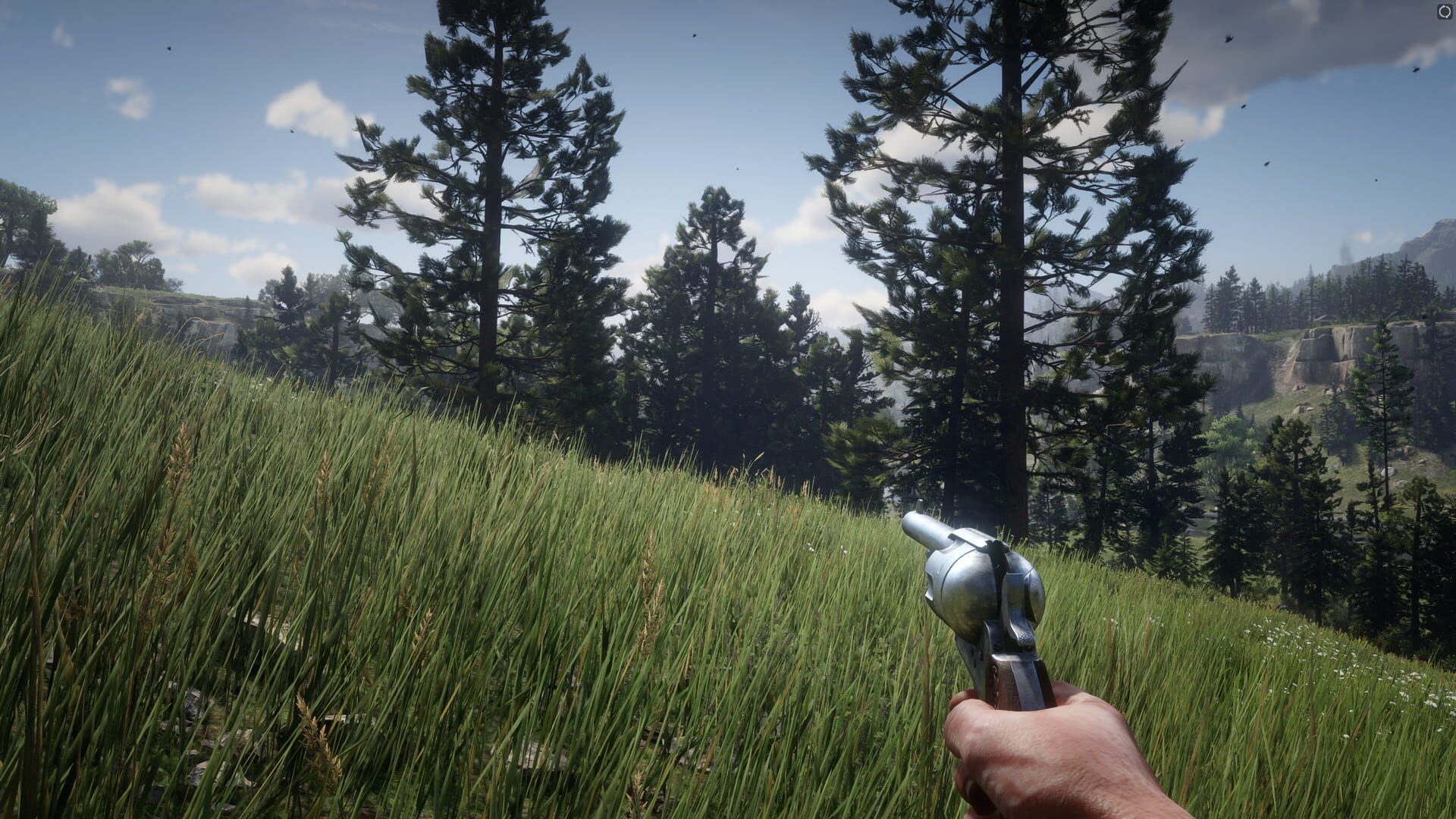 Red Dead Redemption 2 screenshot 13