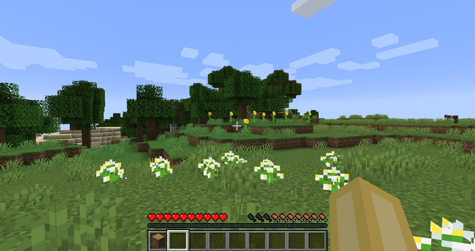 Minecraft: Java Edition screenshot 11