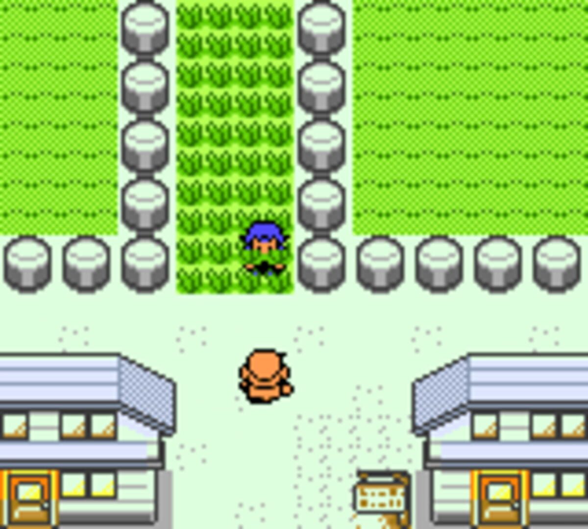 Pokémon Anniversary Crystal screenshot 8