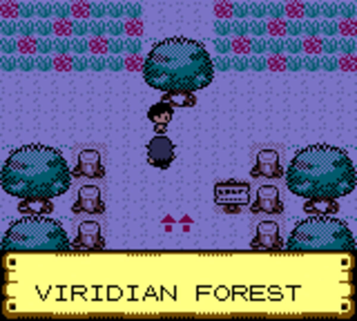 Pokémon Anniversary Crystal screenshot 18