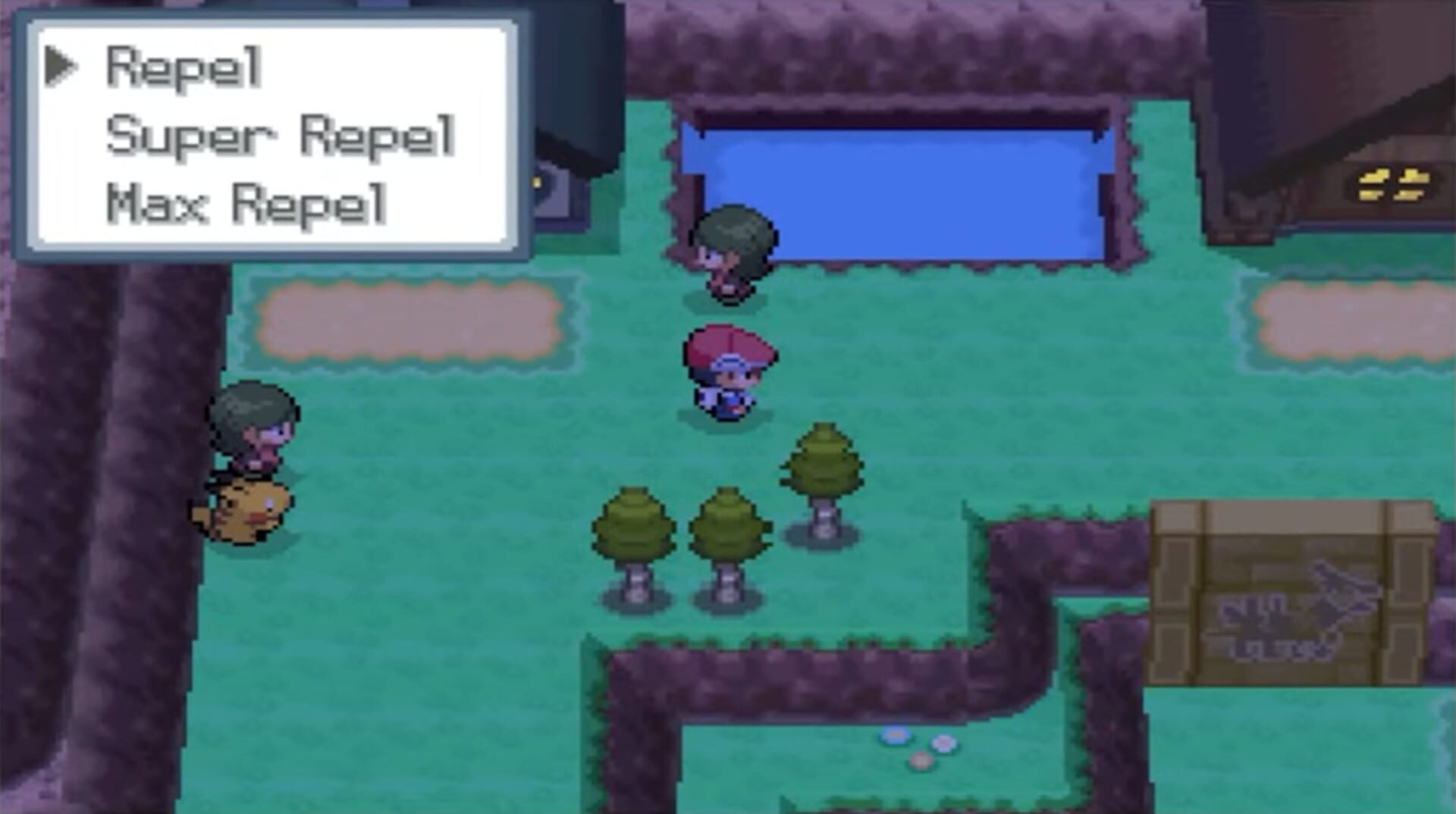 Pokemon Definitive Platinum screenshot 2