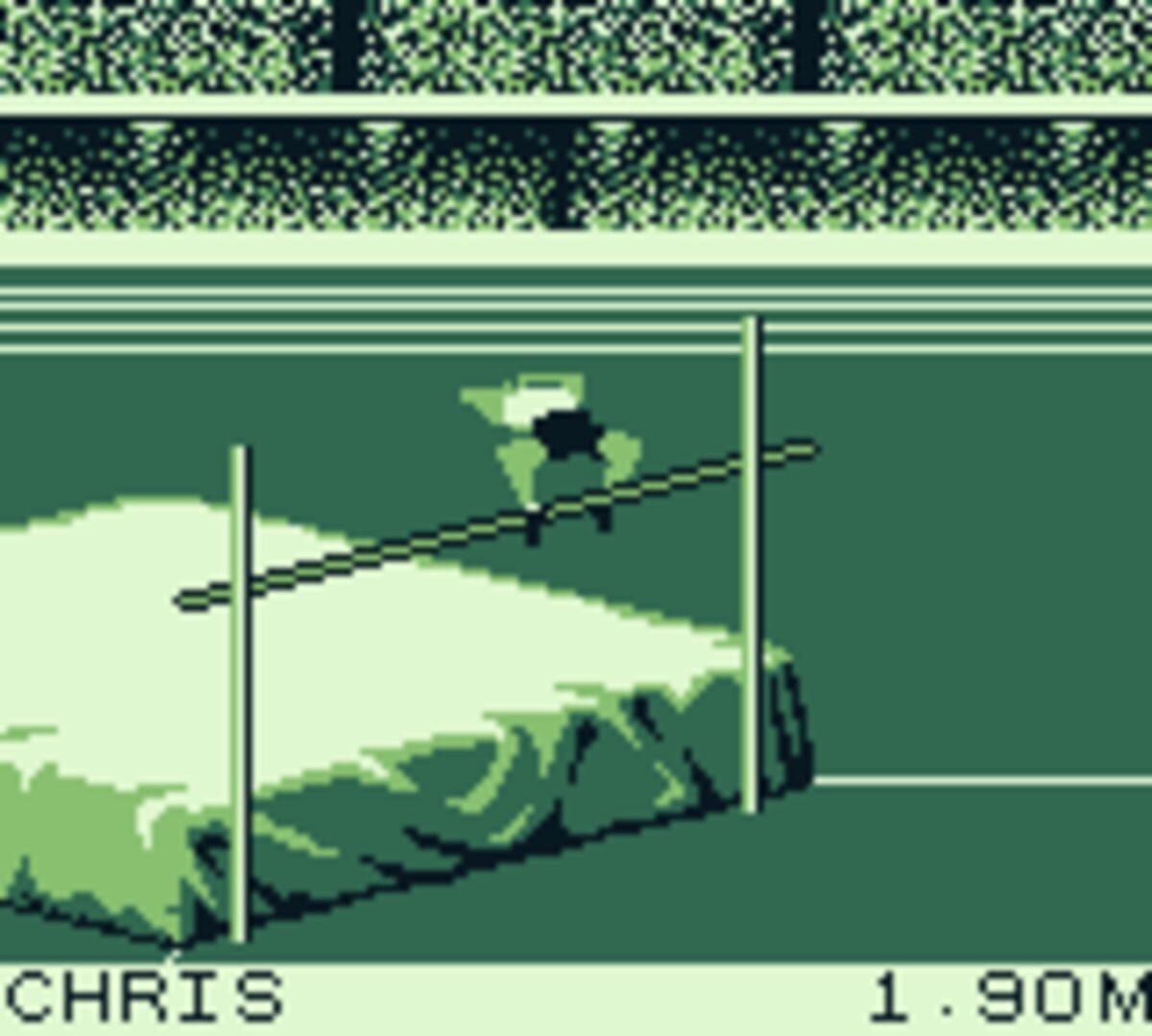 Olympic Summer Games screenshot 2