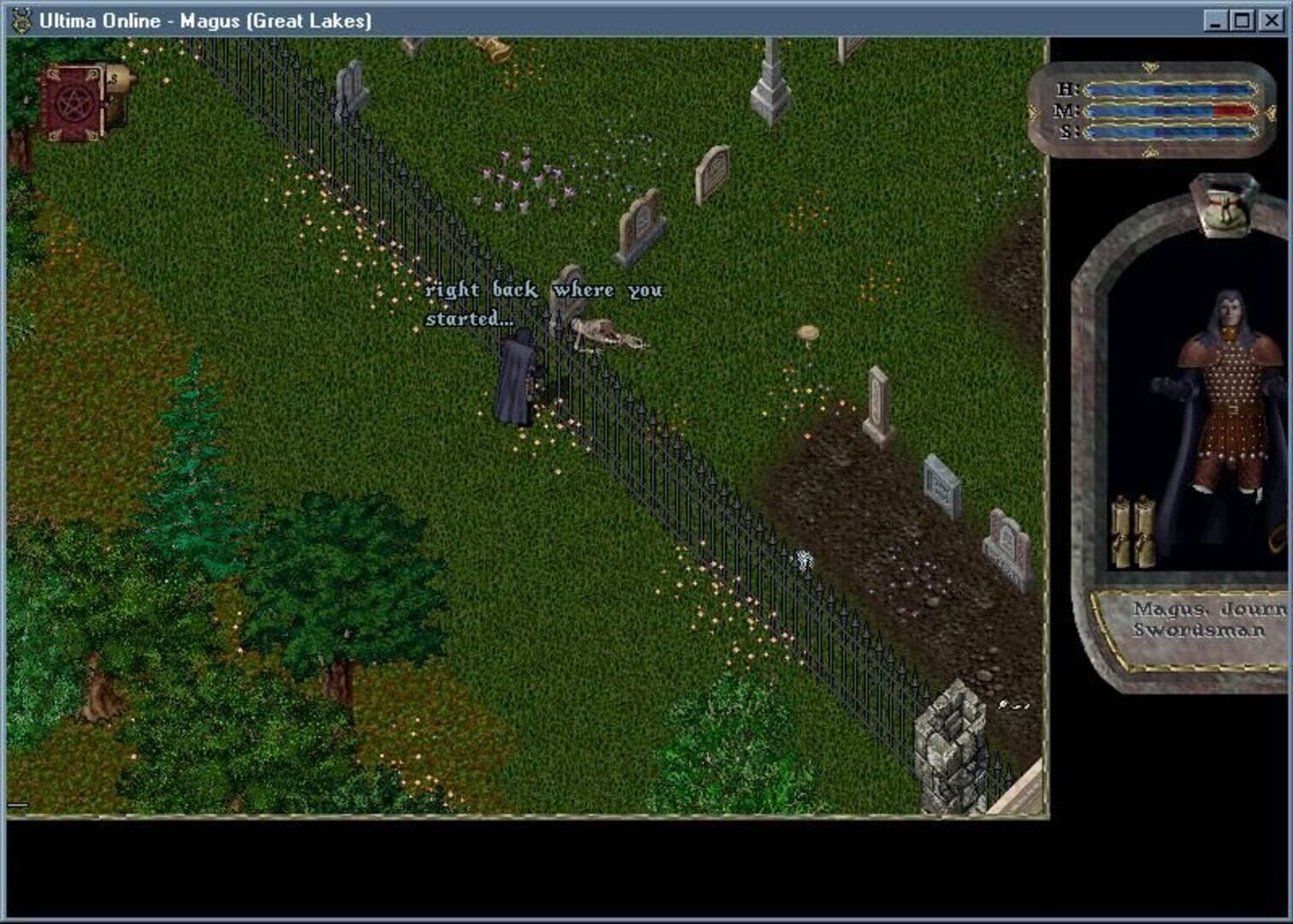 Ultima Online: Renaissance screenshot 6