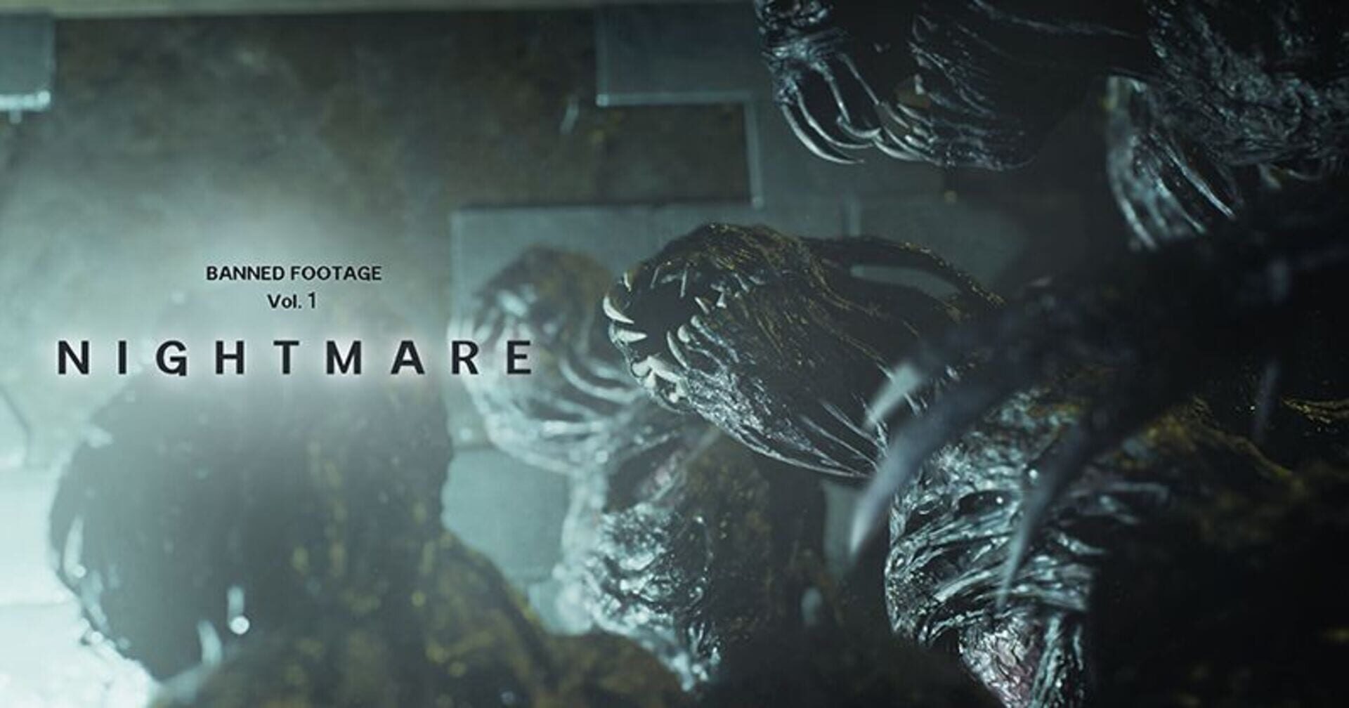 Resident Evil 7: Biohazard - Banned Footage Vol. 1 screenshot 2
