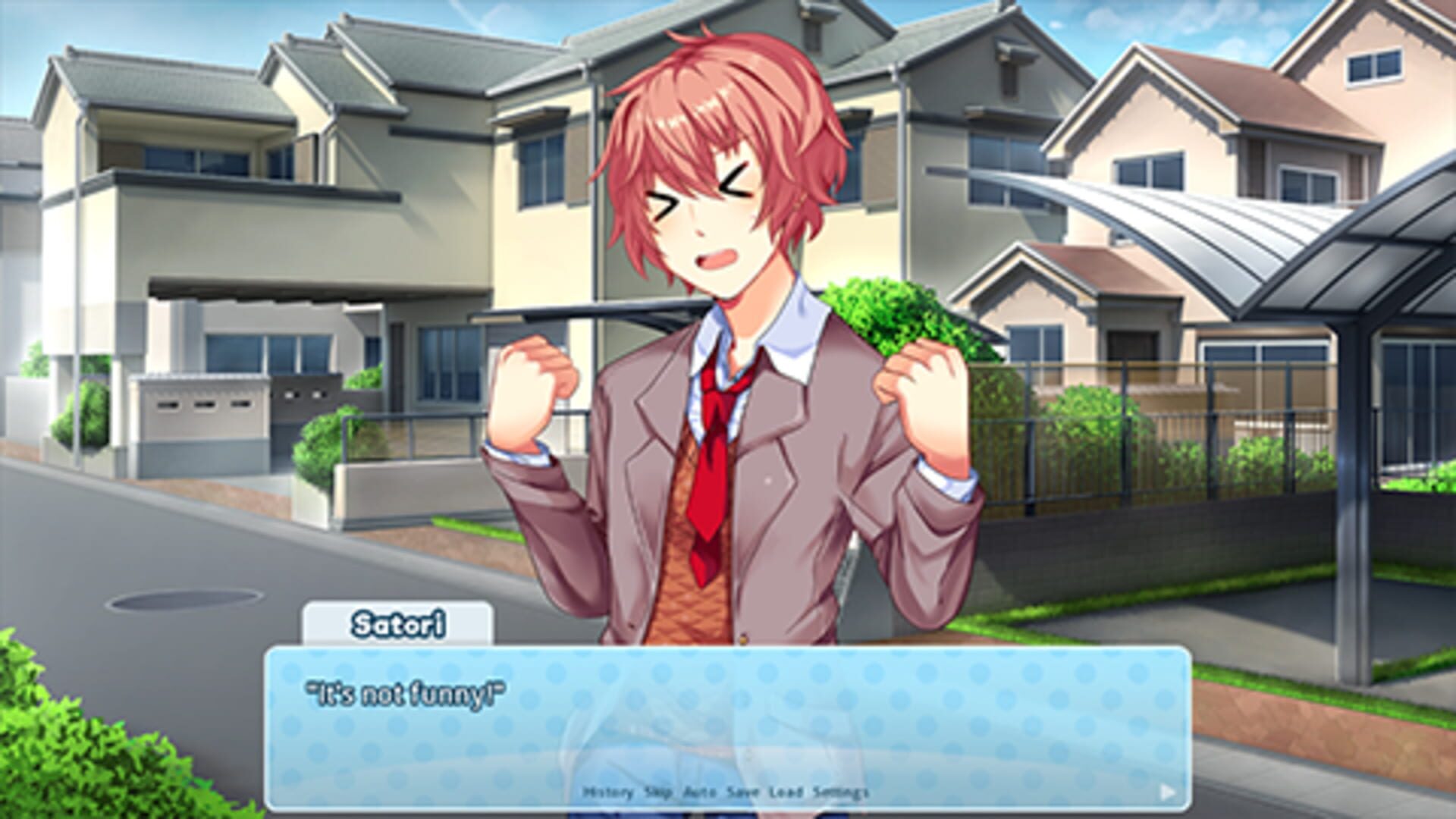 Doki Doki Switcheroo screenshot 3