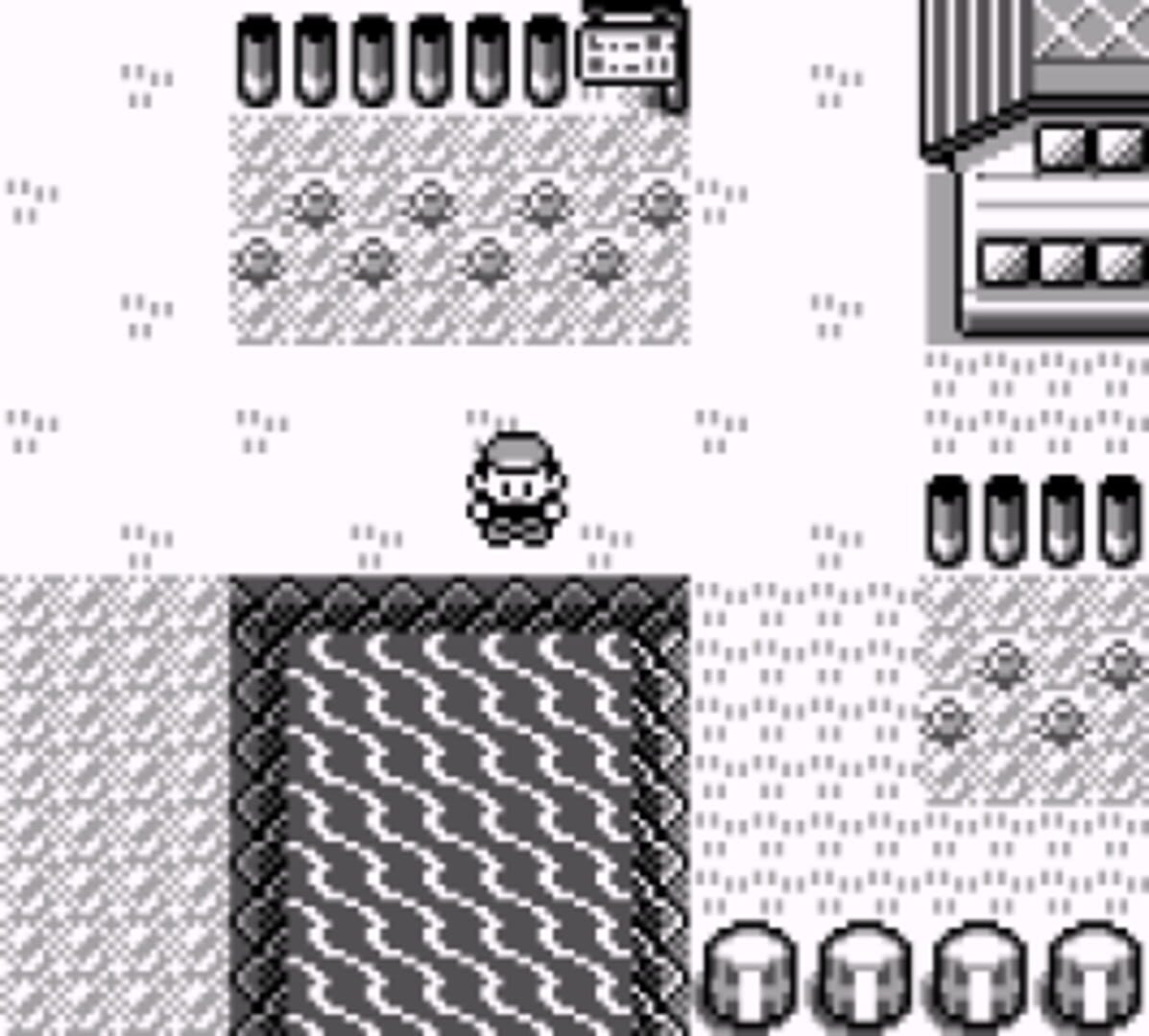 Pokémon: Professor Oak Challenge screenshot 1