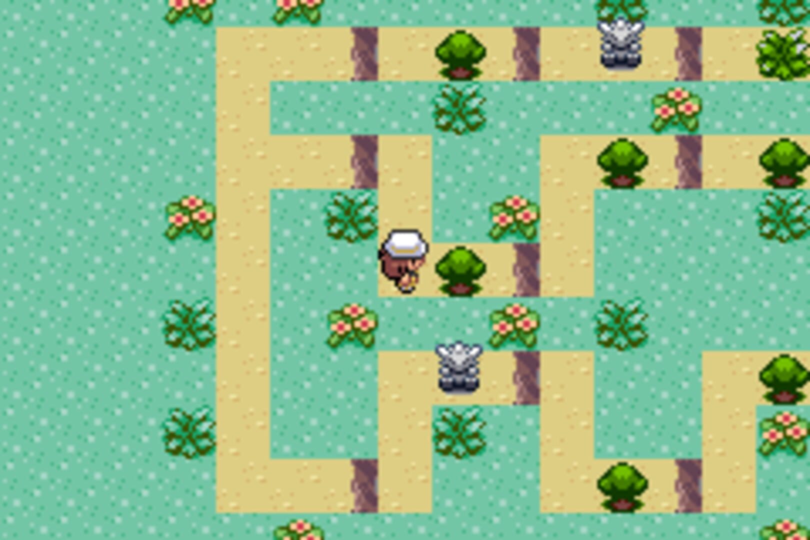 Pokémon Emerald Rogue V2 screenshot 3