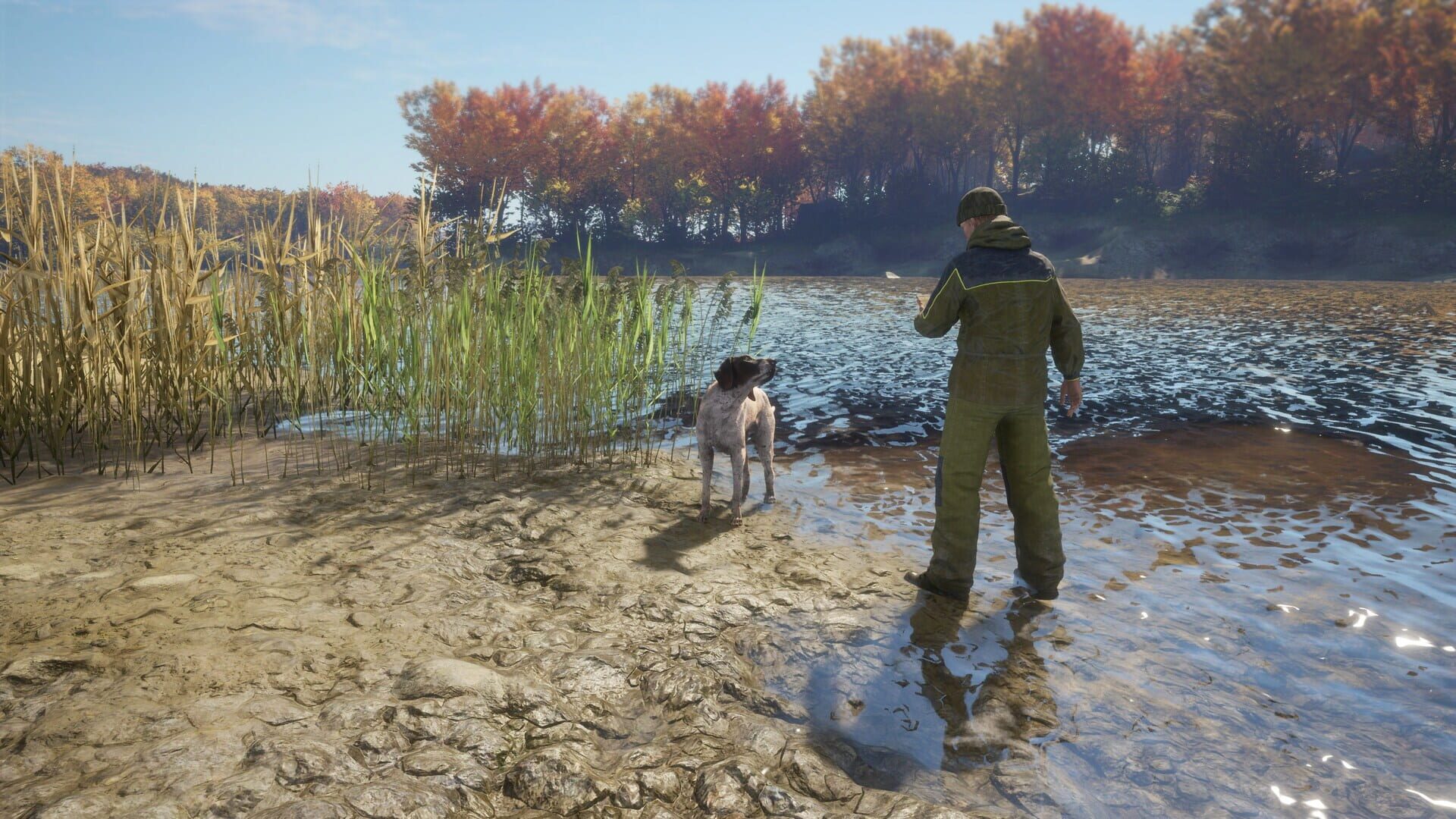 TheHunter: Call of the Wild - German Shorthaired Pointer screenshot 1