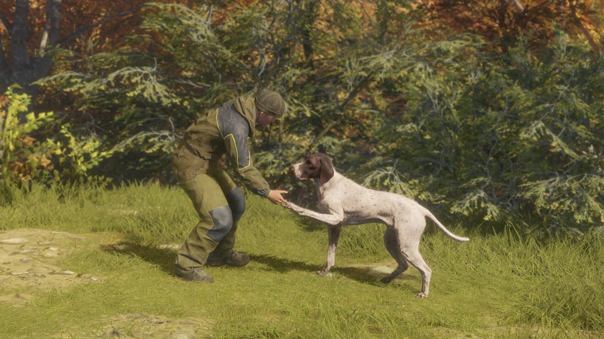 TheHunter: Call of the Wild - German Shorthaired Pointer screenshot 3