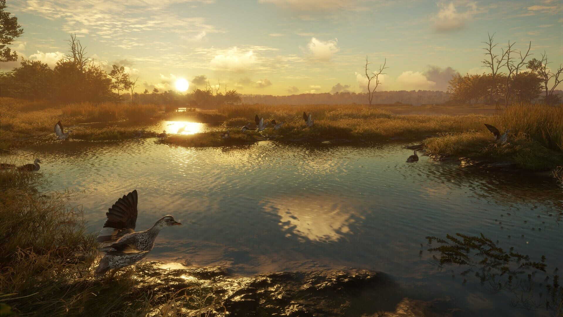 TheHunter: Call of the Wild - Salzwiesen Park screenshot 2