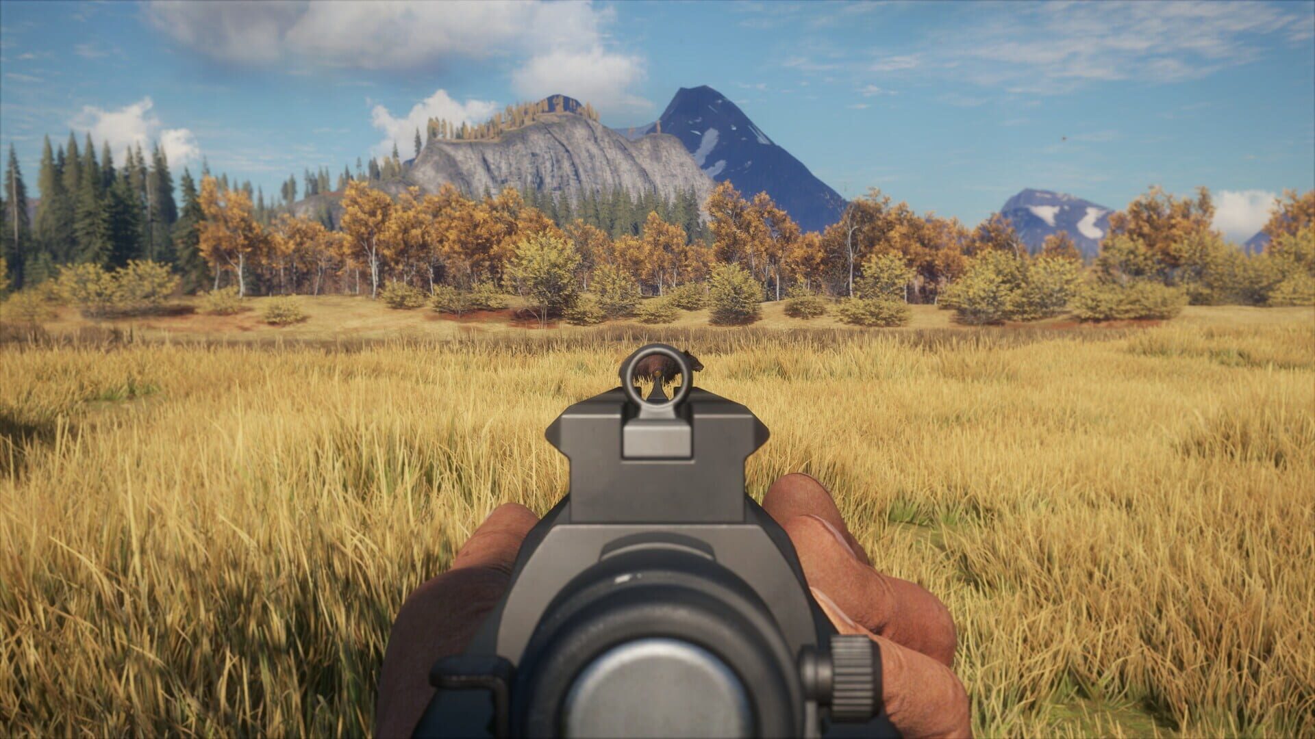 TheHunter: Call of the Wild - Hunters' Choice: Bolt Action Rifle Pack screenshot 5