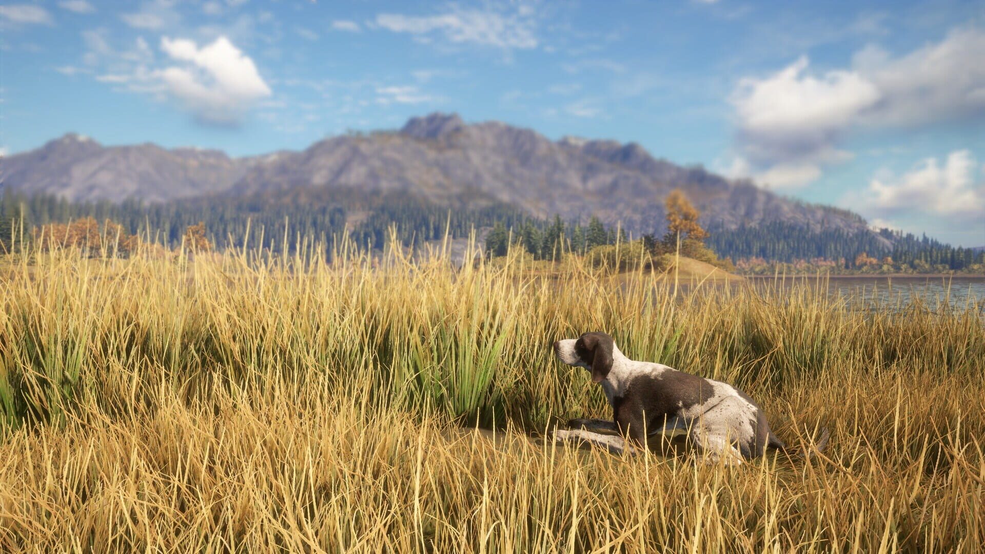 TheHunter: Call of the Wild - German Shorthaired Pointer screenshot 6