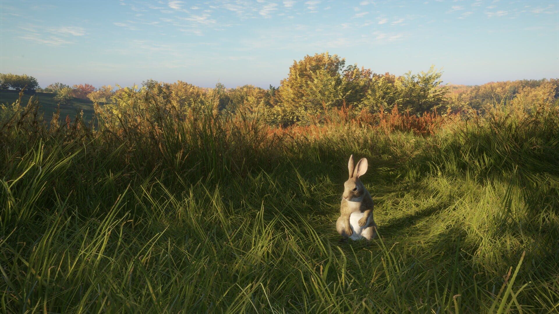 TheHunter: Call of the Wild - Salzwiesen Park screenshot 5