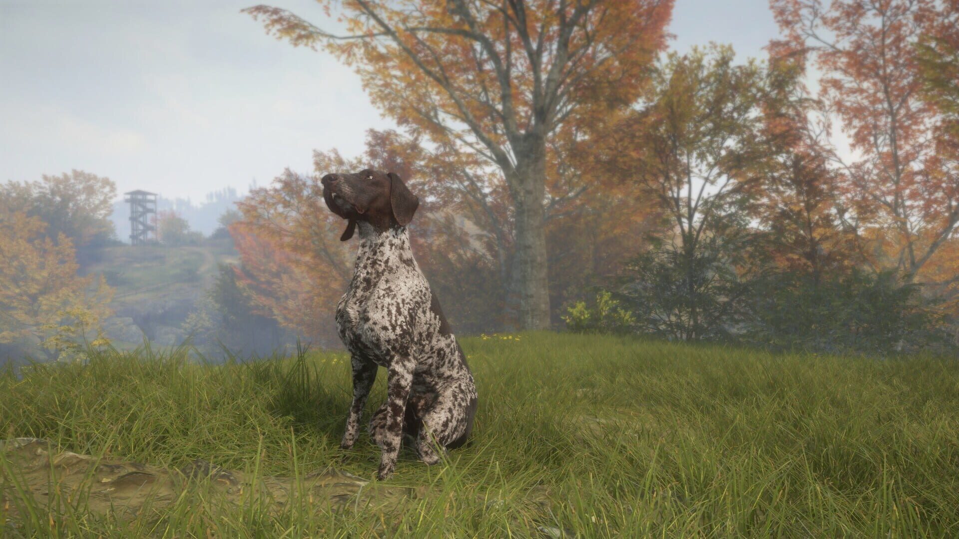 TheHunter: Call of the Wild - German Shorthaired Pointer screenshot 7