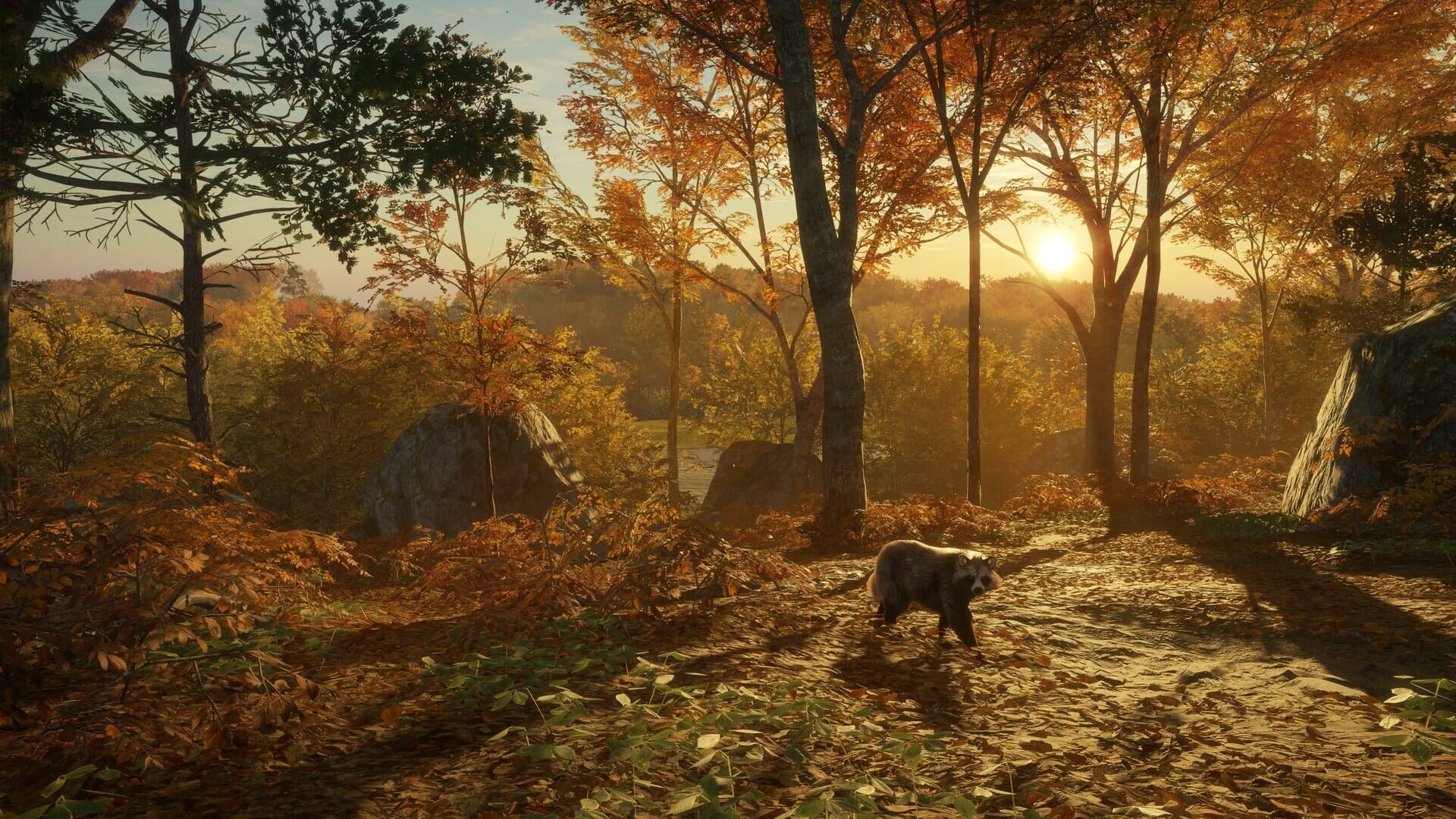 TheHunter: Call of the Wild - Salzwiesen Park screenshot 6