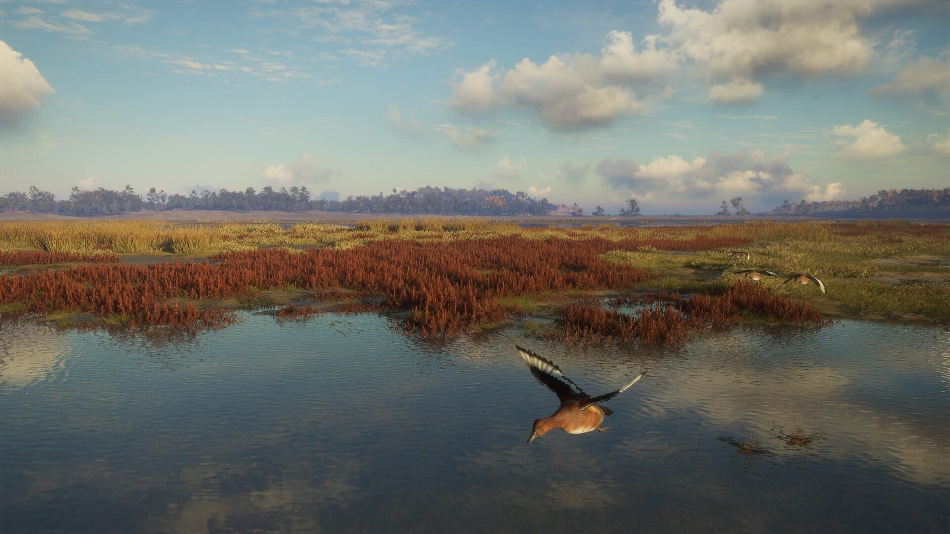 TheHunter: Call of the Wild - Salzwiesen Park screenshot 8