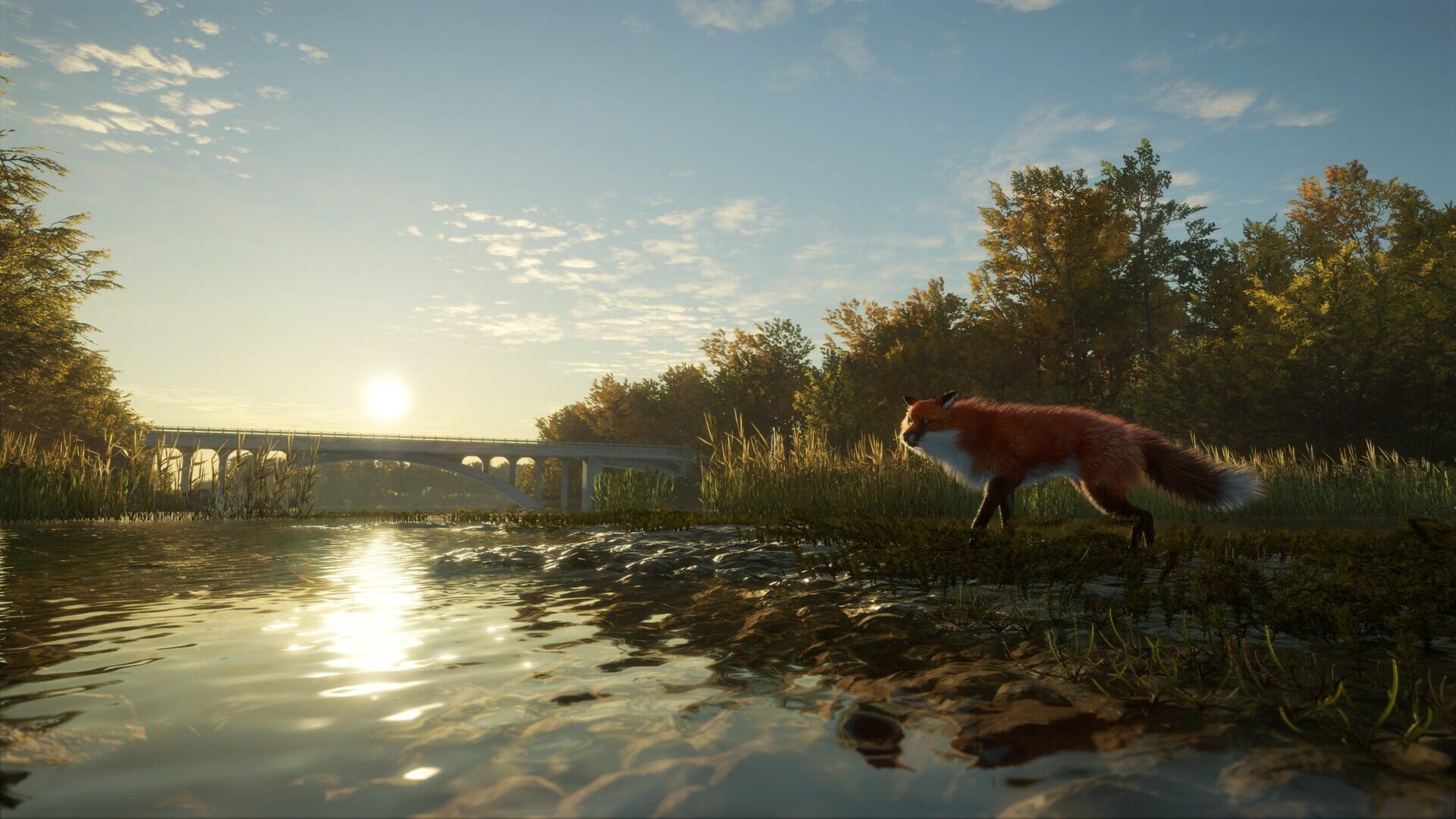 TheHunter: Call of the Wild - Salzwiesen Park screenshot 9