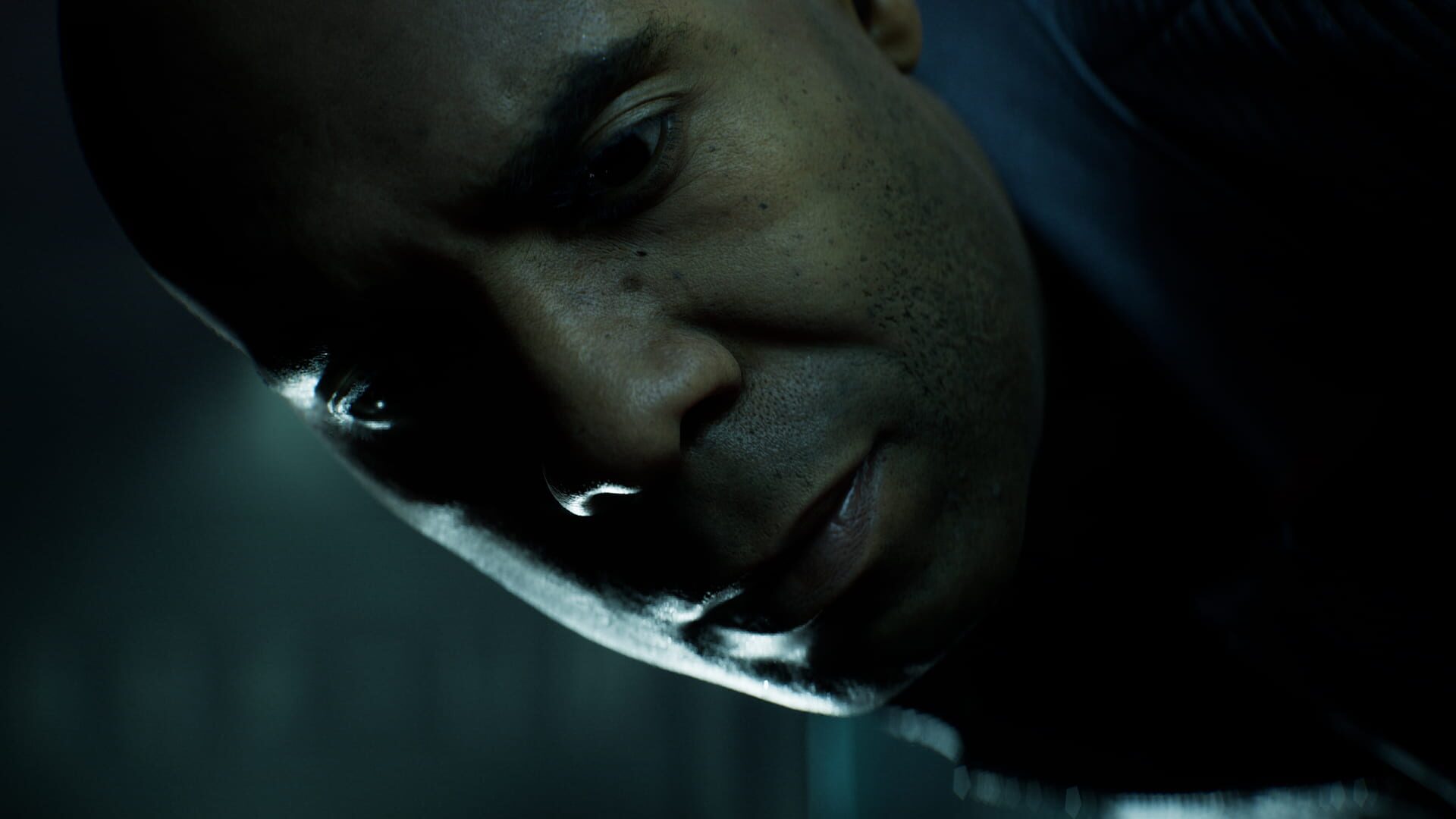 Directive 8020 screenshot 8