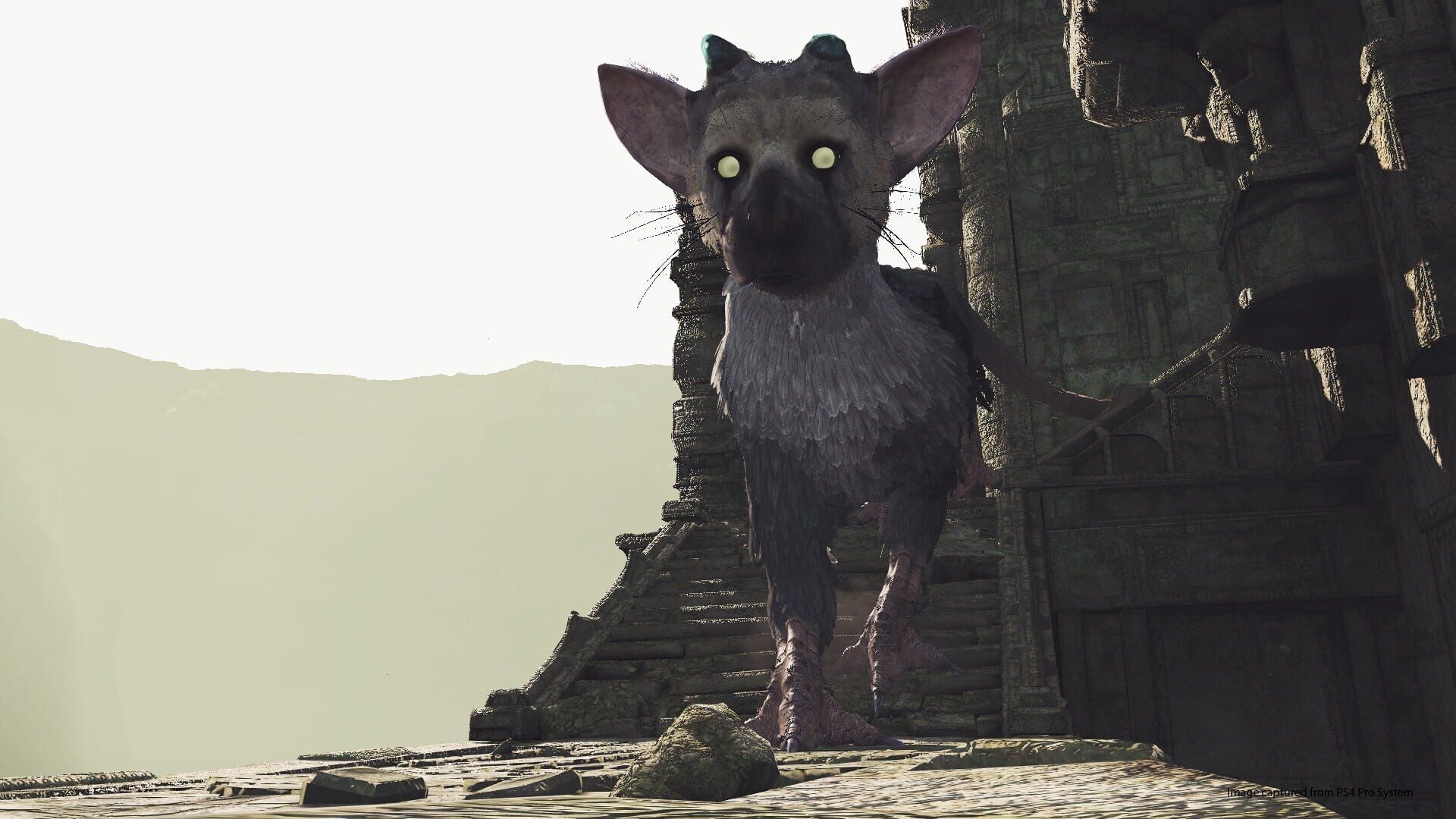 The Last Guardian VR screenshot 5