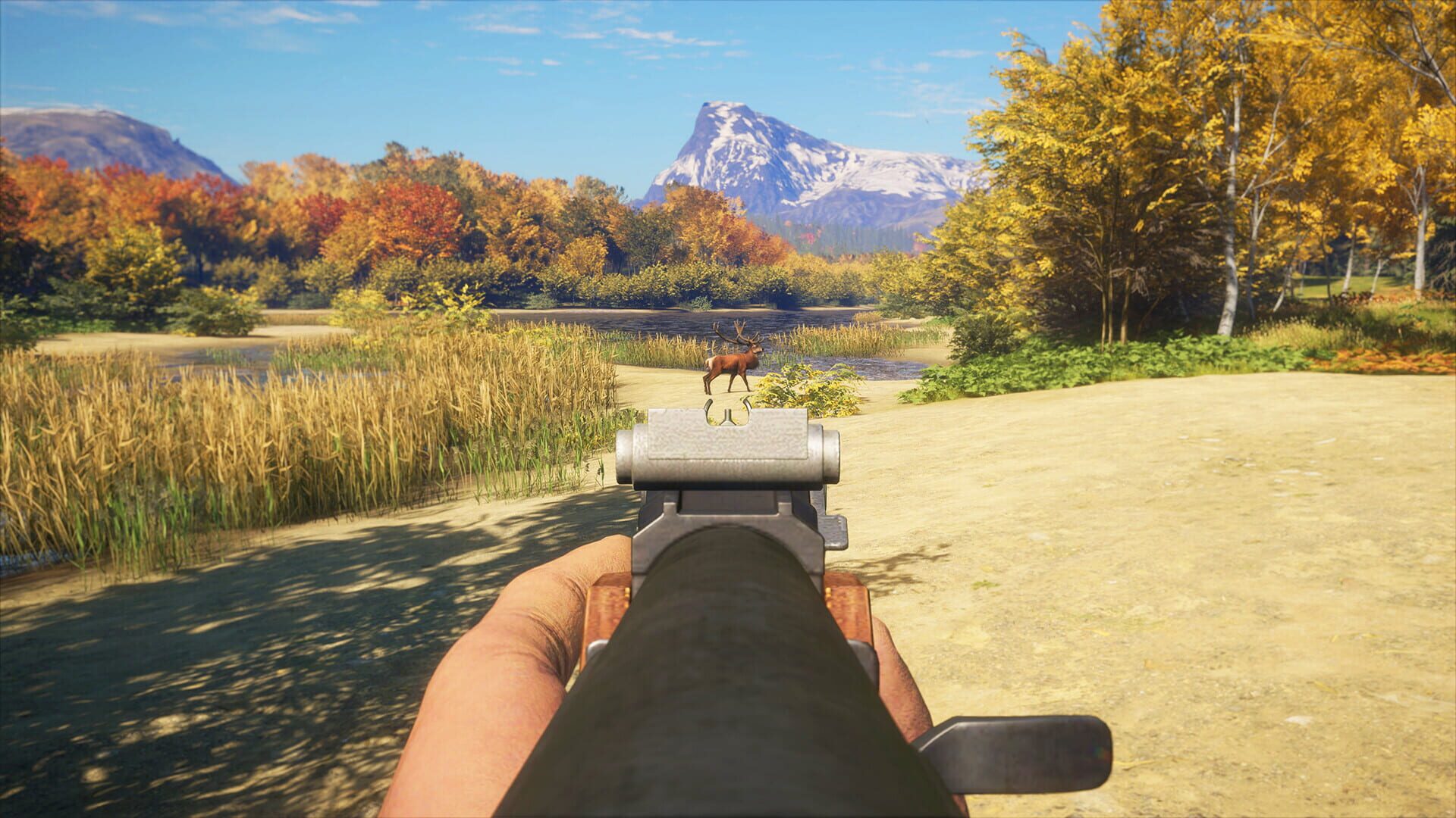 TheHunter: Call of the Wild - Rapid Hunt Rifle Pack screenshot 1