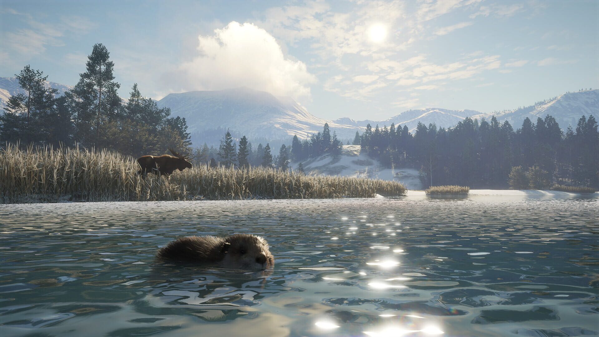 TheHunter: Call of the Wild - Alberta Hunting Preserve screenshot 4